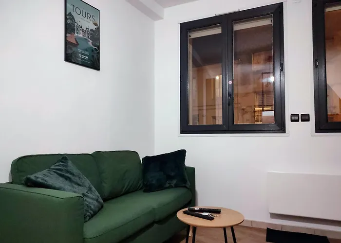 Tres Beau Quartier Cathedrale Bord De Loire 公寓