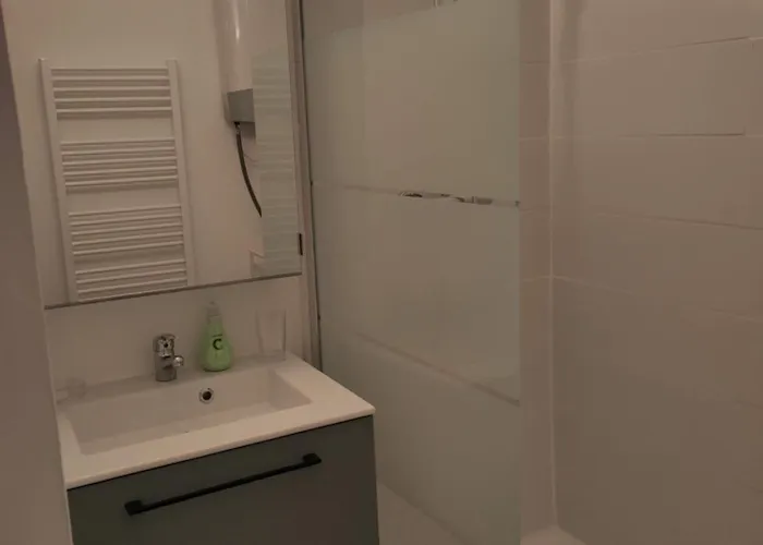 Tres Beau Quartier Cathedrale Bord De Loire Daire *